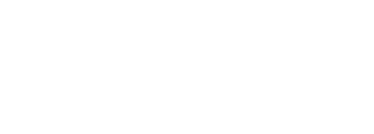 Echobilt_Network_w